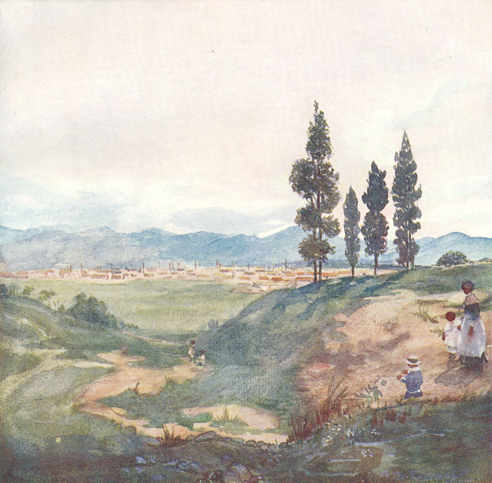 BRAZIL. Sao Paulo from Ypiranga 1908 old antique vintage print picture